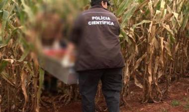 Homem é encontrado com tiros na cabeça em lavoura de milho