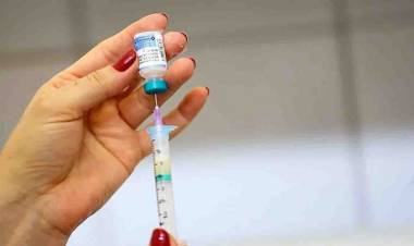 Confira se tomou AstraZeneca vencida em MS: doses distribuídas foram aplicadas após validade