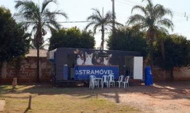 Castramóvel começa a atender cães e gatos no Paranapungá nesta segunda-feira (02)