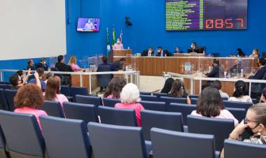 Outubro Rosa é lançada oficialmente durante 46ª sessão ordinária