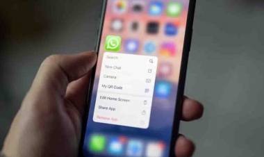 Teve prejuízo com o 'apagão' do WhatsApp? Especialista afirma que é possível pedir indenização; confira