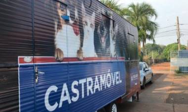 Castramóvel segue atendendo cães e gatos na USF Vila Alegre