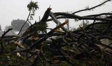 Cidade com vento de 116 km/h no temporal, Ribas do Rio Pardo teve 30 casas destelhadas