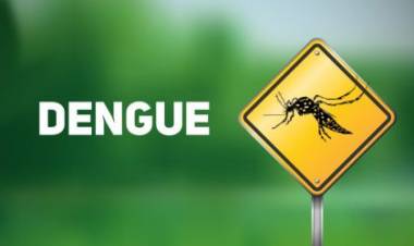 Três Lagoas tem 13 novos casos suspeitos de dengue e 01 leishmaniose recidiva