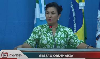    Vereadora Sayuri sugere inclusão do ensino da Lei Maria da Penha na grade da rede municipal