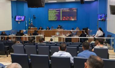  Vereadores aprovam projetos visando palestras em escolas e tratamento de animais custeado por agressor