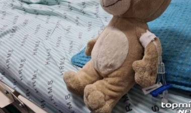 Criança de 3 anos leva tiro acidental de espingarda e morre