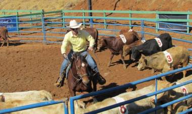 Campeonato de Ranch Sorting será realizado neste fim de semana