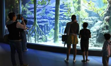 Bioparque Pantanal vai funcionar durante o Carnaval