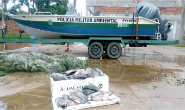 PMA de Três Lagoas apreende 600 metros de redes de pesca no rio Paraná e recolhe 31 kg de peixes e doa para instituição que atende famílias em vulnerabilidade