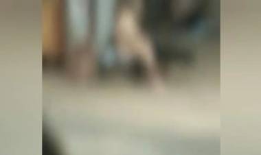 Homem é flagrado praticando zoofilia com cadela e revolta vizinhos em Campo Grande