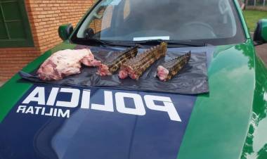 PMA de Rio Negro prende e autua caçadores campo-grandenses em R$ 31 mil e apreende três jacarés e um quati abatidos, pistola 9 mm, rifle calibre 22 e 118 munições
