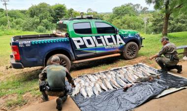 PMA de Naviraí autua em R$ 5,4 mil dois pescadores profissionais paranaenses por pesca e transporte ilegal de pescado e apreende 138 kg de peixes