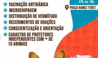 Projeto Protetoras em Ação acontece neste sábado (25) com diversos serviços gratuitos para os pets