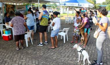 CCZ e Protetoras atenderam mais de 600 animais no final de semana