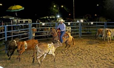 1º Ranch Sorting Estância Rebucci 2023 acontece neste sábado (29) em Três Lagoas