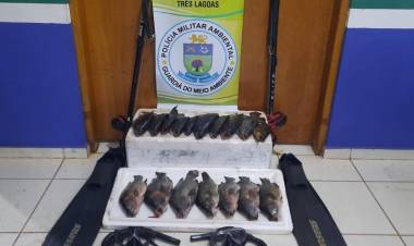 Polícia Militar Ambiental de Três Lagoas autua dois pescadores em R$ 1,4 mil por pesca subaquática ilegal e apreende equipamentos de mergulho e pesca e 17 kg de pescado