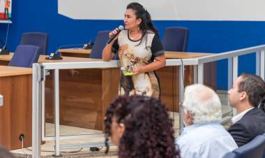 Câmara realiza segunda audiência pública sobre segurança nas escolas