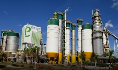 Briga por fábrica de celulose emperra investimento de R$ 20 bilhões e 10 mil empregos