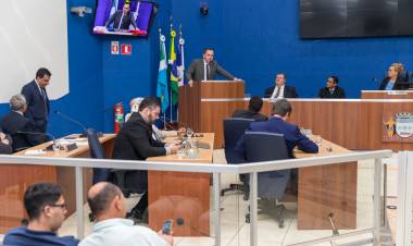 Câmara aprova multa para omissão de socorro a animais atropelados