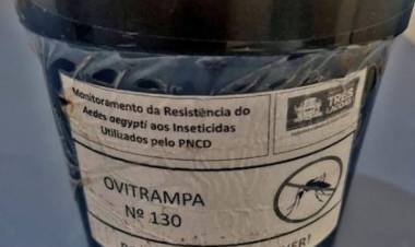 Projeto “Ovitrampas” de combate ao Aedes aegypti  será implantado em Três Lagoas