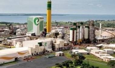 Juiz nega pedido para empresa de indonésio voltar ao comando da Eldorado Celulose