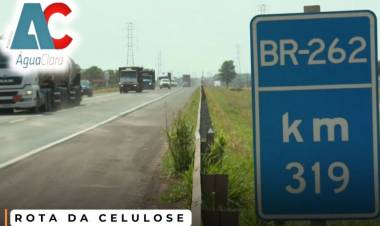 ROTA da Celulose – Pedágio na BR-262 entre Três Lagoas a Campo Grande custará R$ 57,60