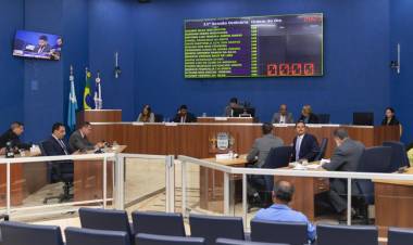 VEREADORES APROVAM OITO PROJETOS, HOMENAGENS E SEMINÁRIO SOBRE AUTISMO