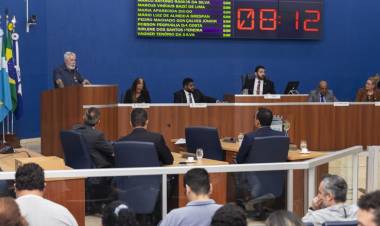 Vereadores aprovam plano para reduzir déficit previdenciário e lei de proteção às abelhas