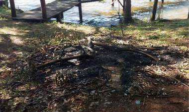Três Lagoas: MPMS instaura inquérito civil para apurar queima irregular em APP às margens do rio Sucuriú