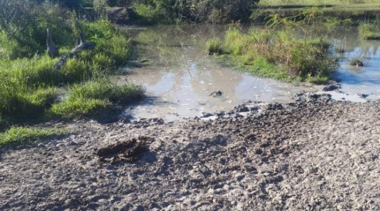 Polícia Militar Ambiental de Três Lagoas autua infratora em R$ 23 mil por degradar nascentes e áreas protegidas de matas ciliares de córrego
