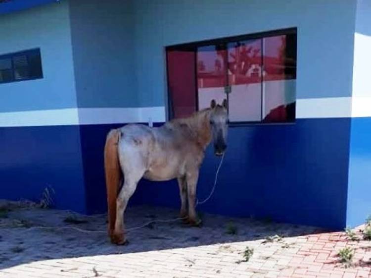 Inaugurado recentemente em Amambai, Parque do Panduí já está abandonado