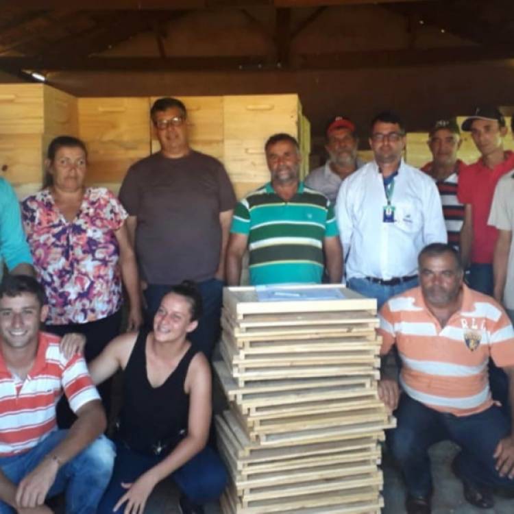 COM APOIO DA SUZANO, APICULTORES INICIAM PRODUÇÃO DE MEL EM SANTA RITA DO PARDO (MS)