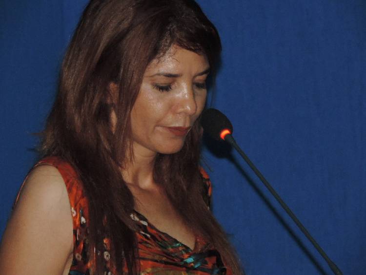 Professores ocupam plenário da Câmara Municipal de Três Lagoas e cobram lesura no Processo Seletivo para ministrar aulas na REME em 2020 