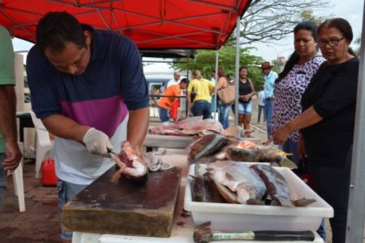 Inscrições para a tradicional Feira do Peixe abrirão na próxima segunda-feira