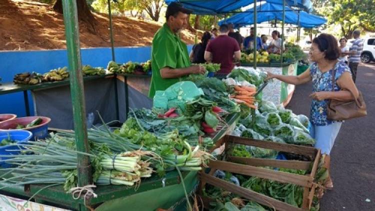 Campo Grande: Feiras livres voltam a funcionar com regras para evitar aglomerações e reforço na higienização