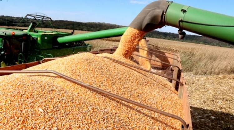 China é o destino de 79? produção de soja exportada pelo Mato Grosso do Sul