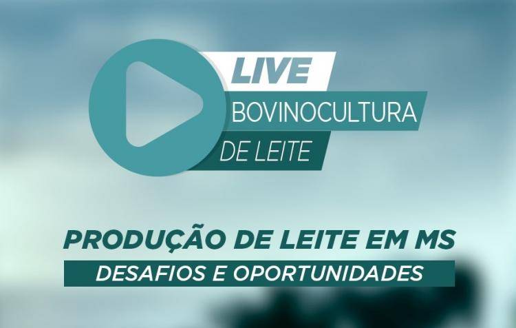 Desafios e Oportunidades: Live do Sistema Famasul vai debater bovinocultura de leite em MS