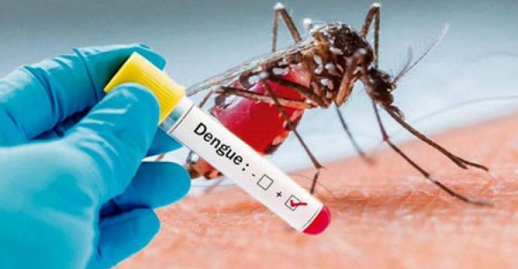 Volta a subir o número de casos notificados suspeitos de Dengue em Três Lagoas