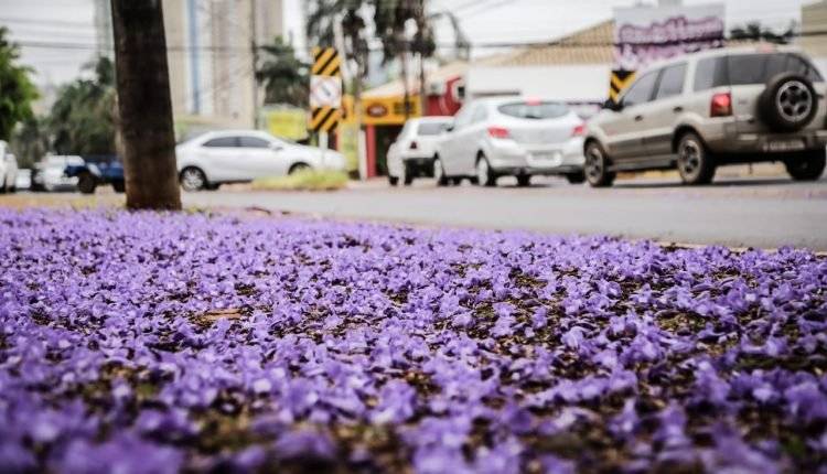 Friozinho e chuva marcam início da primavera, mas semana termina com registro de 39ºC em MS
