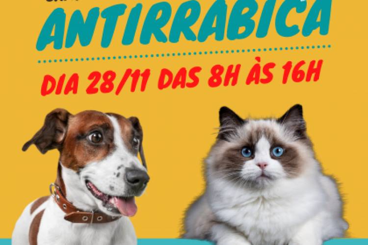 Donos de cães e gatos têm este sábado (28) para vacinar seus animaizinhos contra a raiva