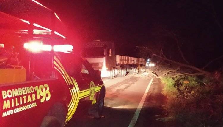Casal morre em colisão frontal com carreta após motorista tentar desviar de árvore na pista próximo ao Município de Brasilândia