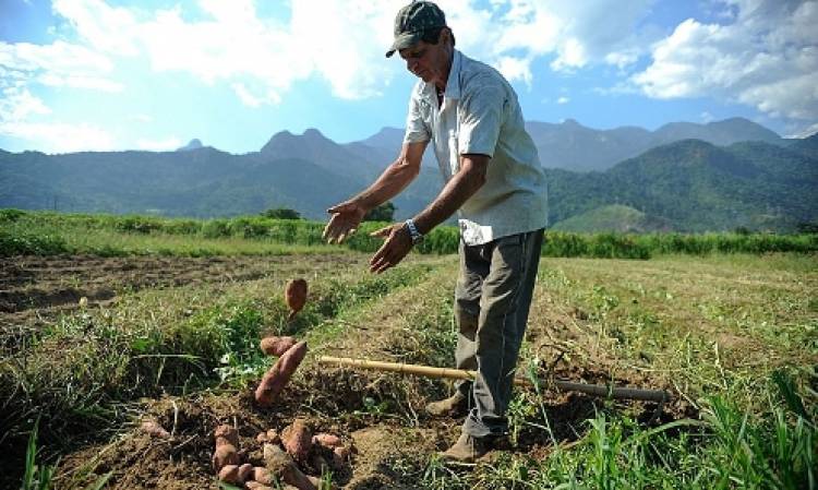 Partidos e movimentos vão ao STF para destravar reforma agrária no Brasil