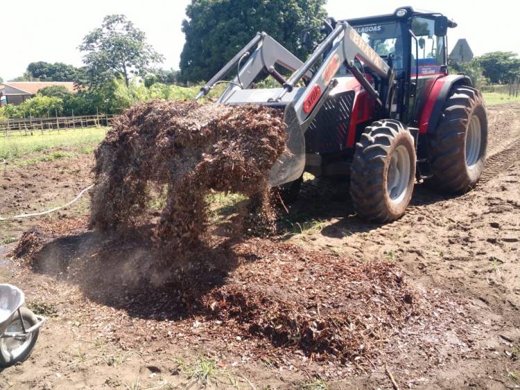 Compostagem de resíduos orgânicos é a nova aposta do Agronegócio para cultivo de plantas e hortifrútis em Três Lagoas