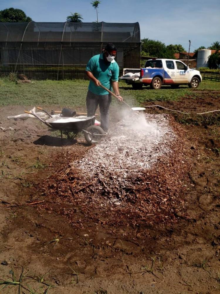 Compostagem de resíduos orgânicos é a nova aposta do Agronegócio para cultivo de plantas e hortifrútis em Três Lagoas