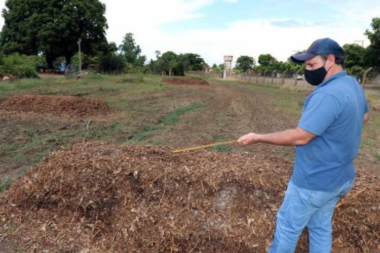 Compostagem de resíduos orgânicos é a nova aposta do Agronegócio para cultivo de plantas e hortifrútis em Três Lagoas