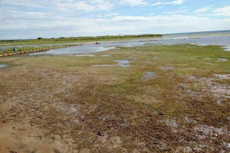 Secretaria de Meio Ambiente de TL pede esclarecimentos à CTG Brasil quanto a possível dano ambiental causado no Rio Sucuriú