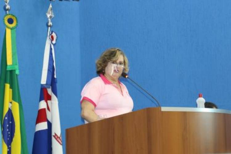 No Dia Internacional da Mulher, a Presidente do CMDM defende empoderamento, proteção e protagonismo feminino em palestra na Câmara