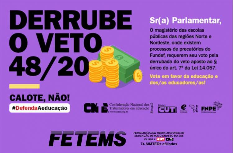 Participe da mobilização para derrubar vetos que impedem valorização da educação