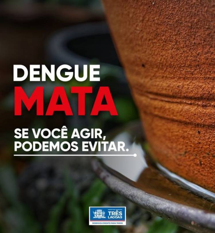 Ações simples vão ajudar no combate ao mosquito transmissor de uma série de doenças, entre elas dengue, chikungunya e zika.  